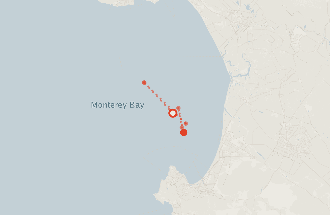 Activity map — real sighting points on an OpenStreetMap basemap