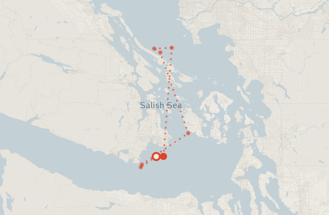 Activity map — real sighting points on an OpenStreetMap basemap