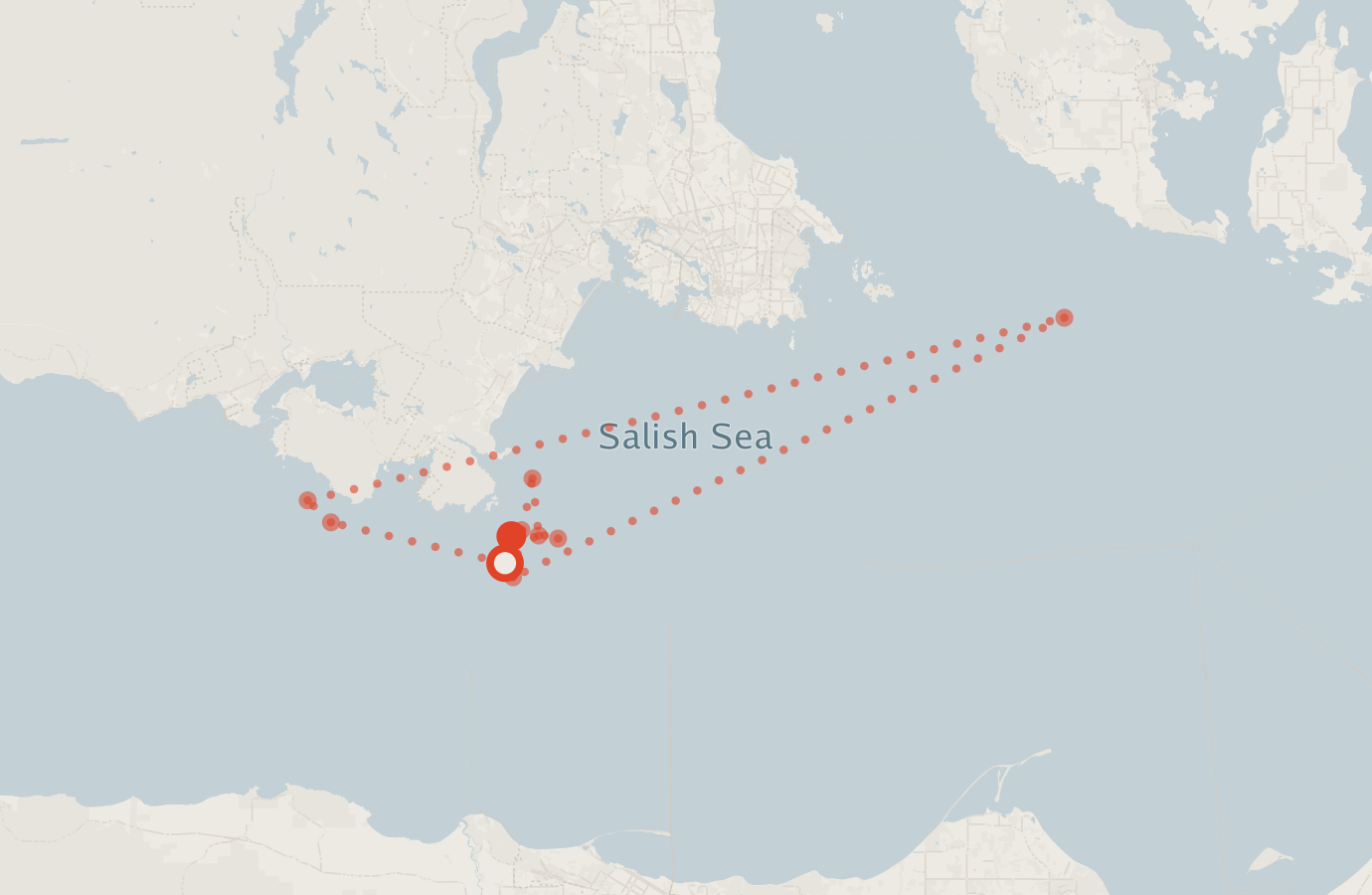 Activity map — real sighting points on an OpenStreetMap basemap