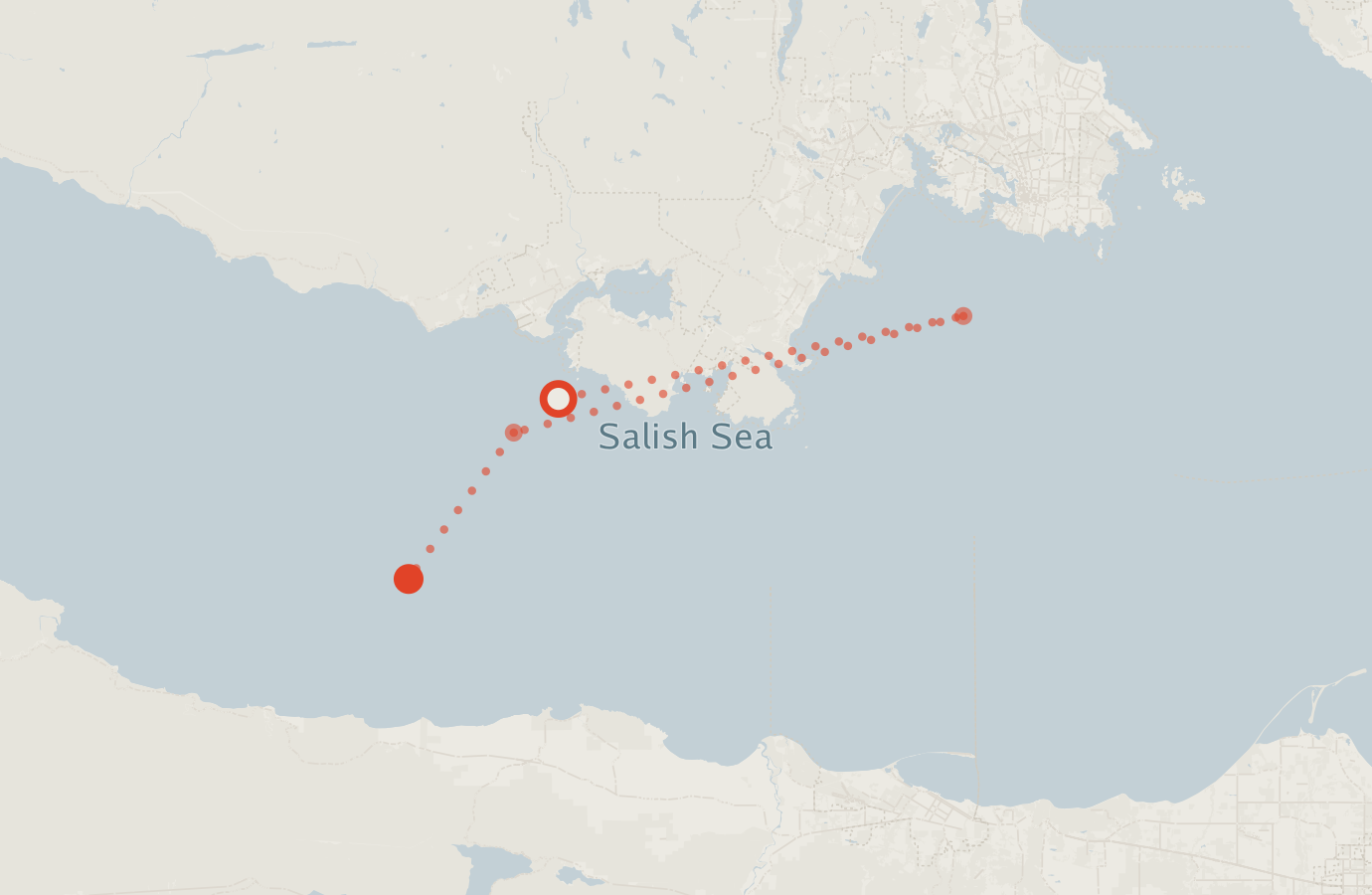 Activity map — real sighting points on an OpenStreetMap basemap
