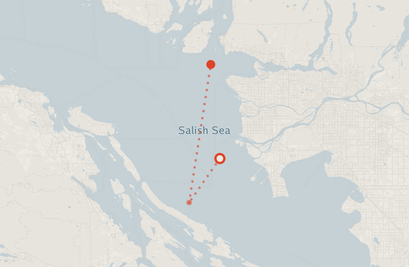 Activity map — real sighting points on an OpenStreetMap basemap