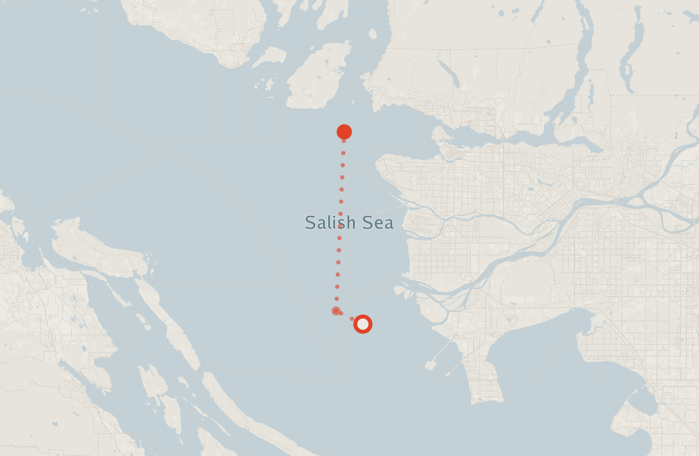 Activity map — real sighting points on an OpenStreetMap basemap