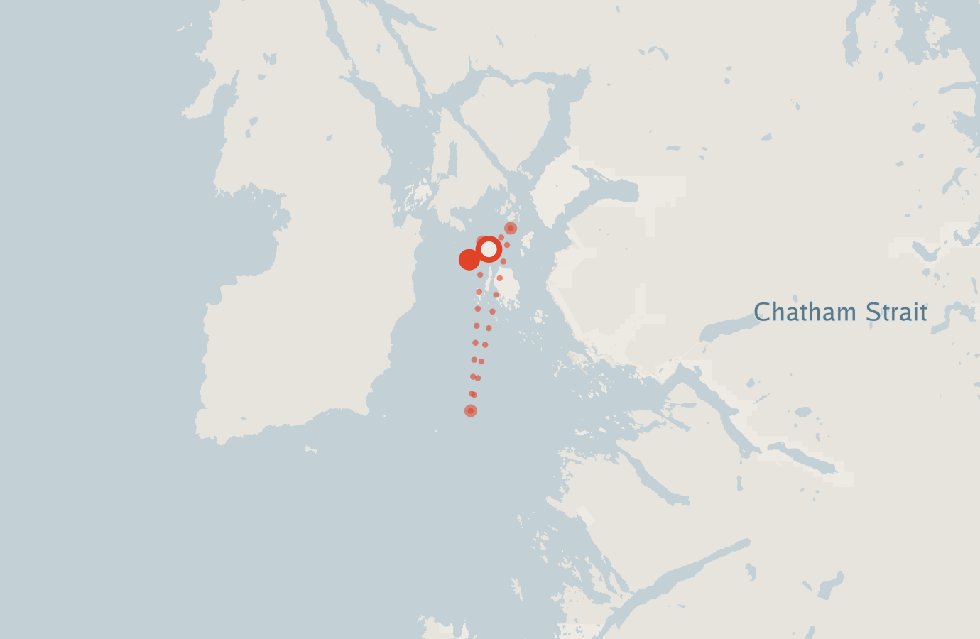 Activity map — real sighting points on an OpenStreetMap basemap