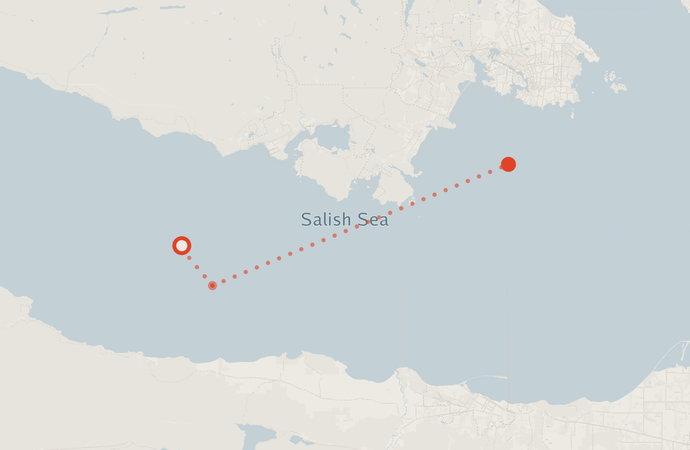Activity map — real sighting points on an OpenStreetMap basemap