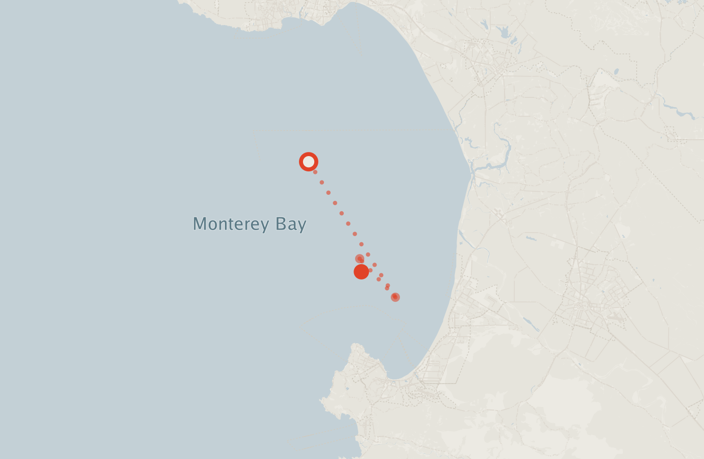 Activity map — real sighting points on an OpenStreetMap basemap