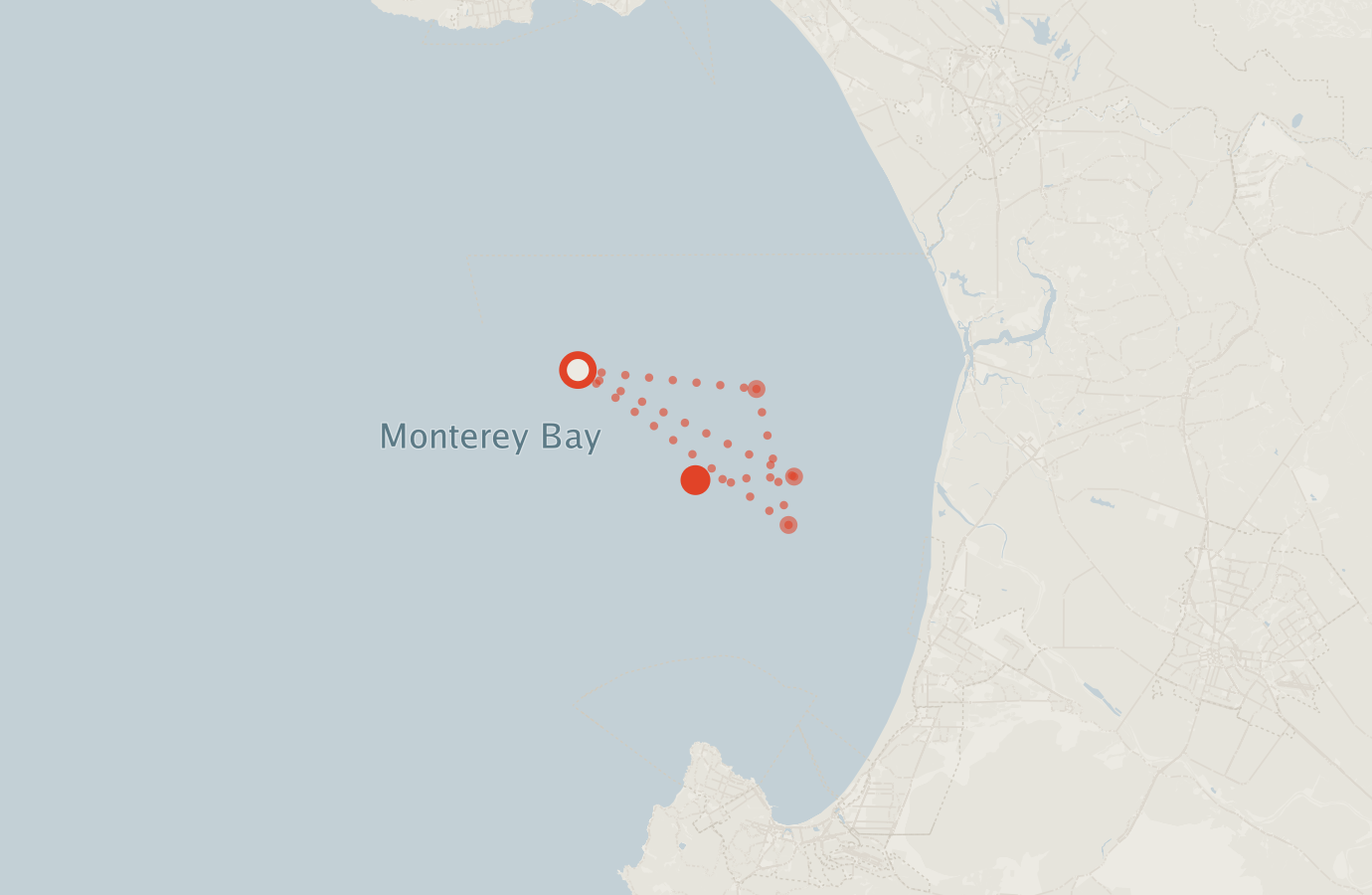 Activity map — real sighting points on an OpenStreetMap basemap