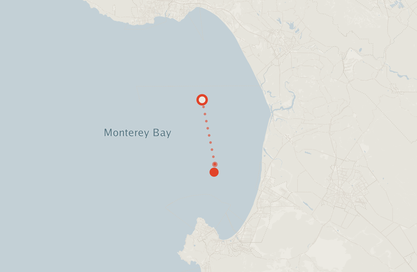 Activity map — real sighting points on an OpenStreetMap basemap