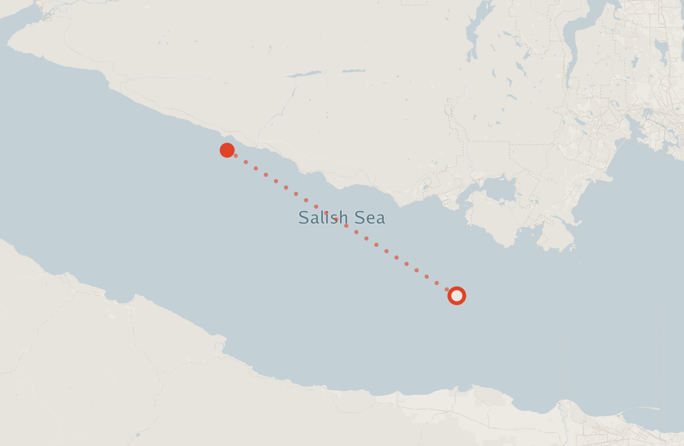 Activity map — real sighting points on an OpenStreetMap basemap