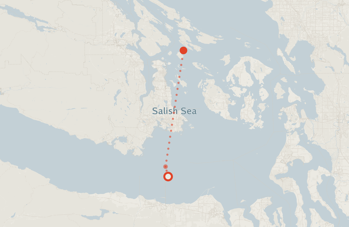 Activity map — real sighting points on an OpenStreetMap basemap