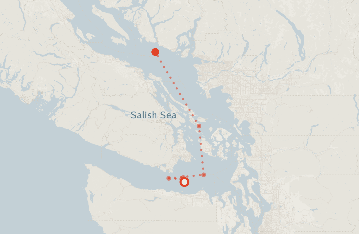 Activity map — real sighting points on an OpenStreetMap basemap