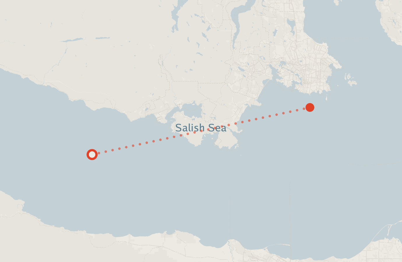Activity map — real sighting points on an OpenStreetMap basemap