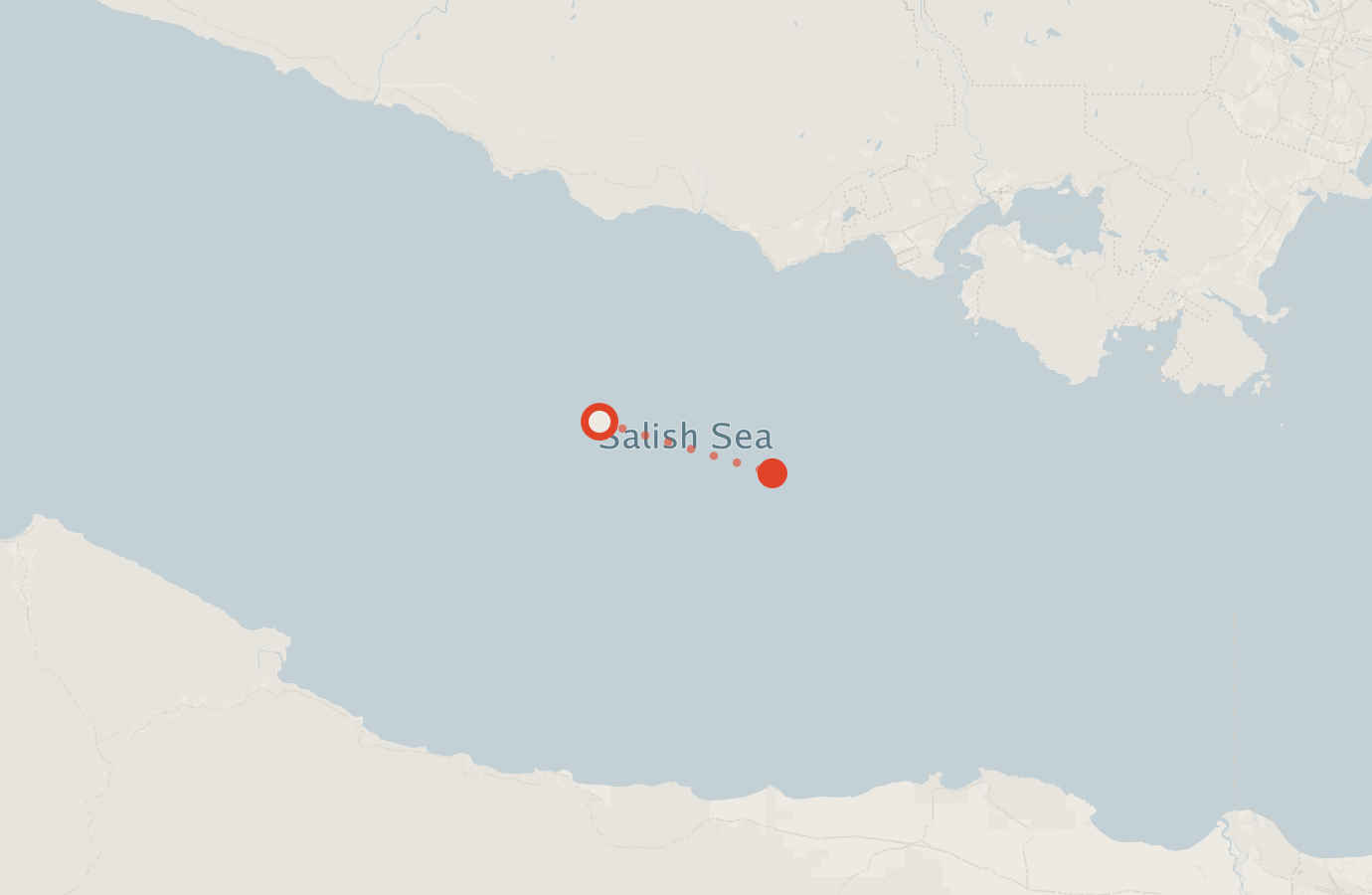 Activity map — real sighting points on an OpenStreetMap basemap