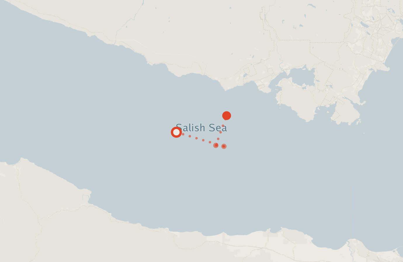 Activity map — real sighting points on an OpenStreetMap basemap