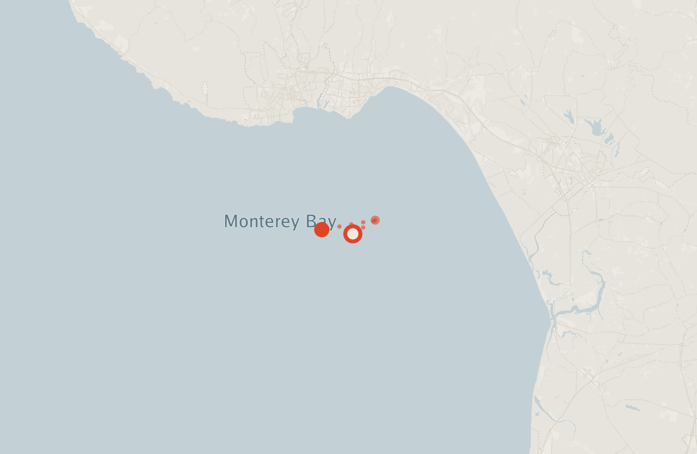Activity map — real sighting points on an OpenStreetMap basemap