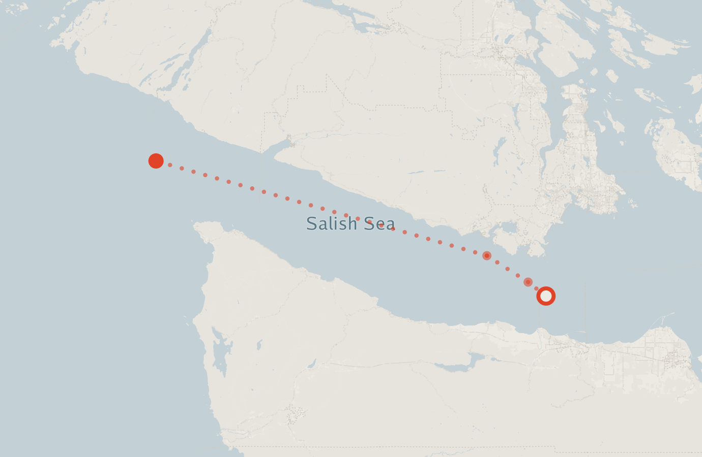 Activity map — real sighting points on an OpenStreetMap basemap
