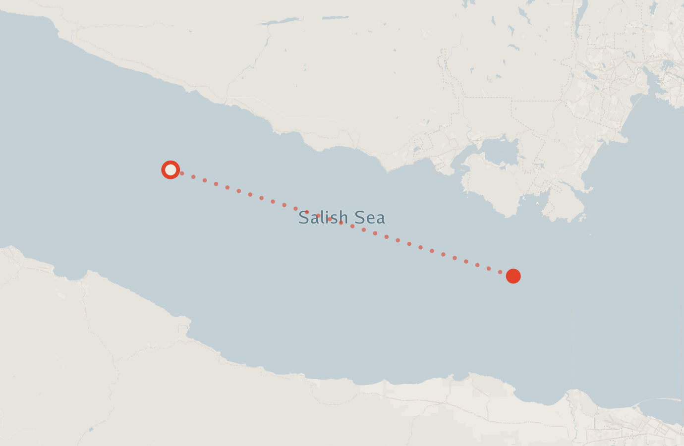Activity map — real sighting points on an OpenStreetMap basemap