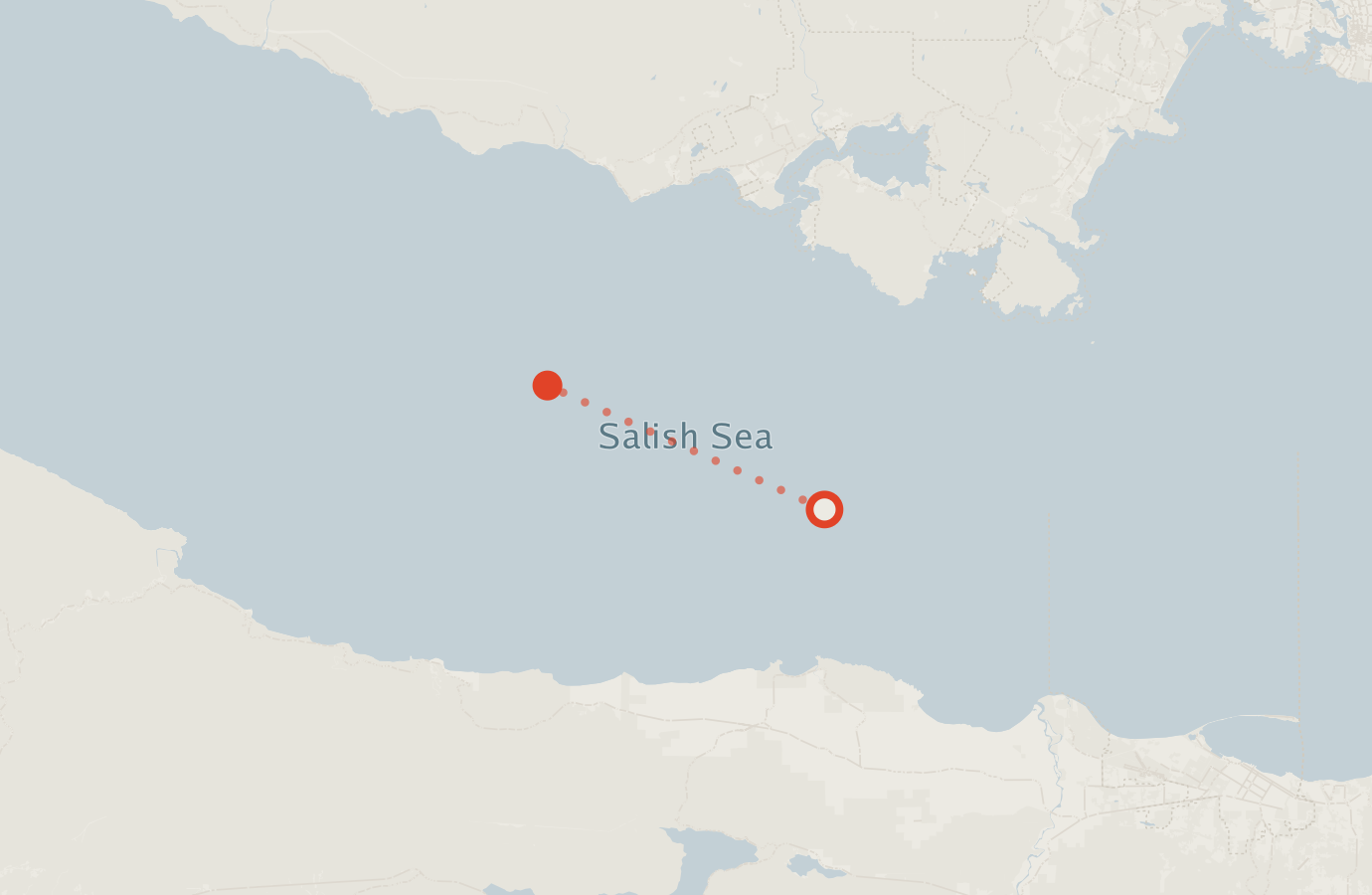 Activity map — real sighting points on an OpenStreetMap basemap