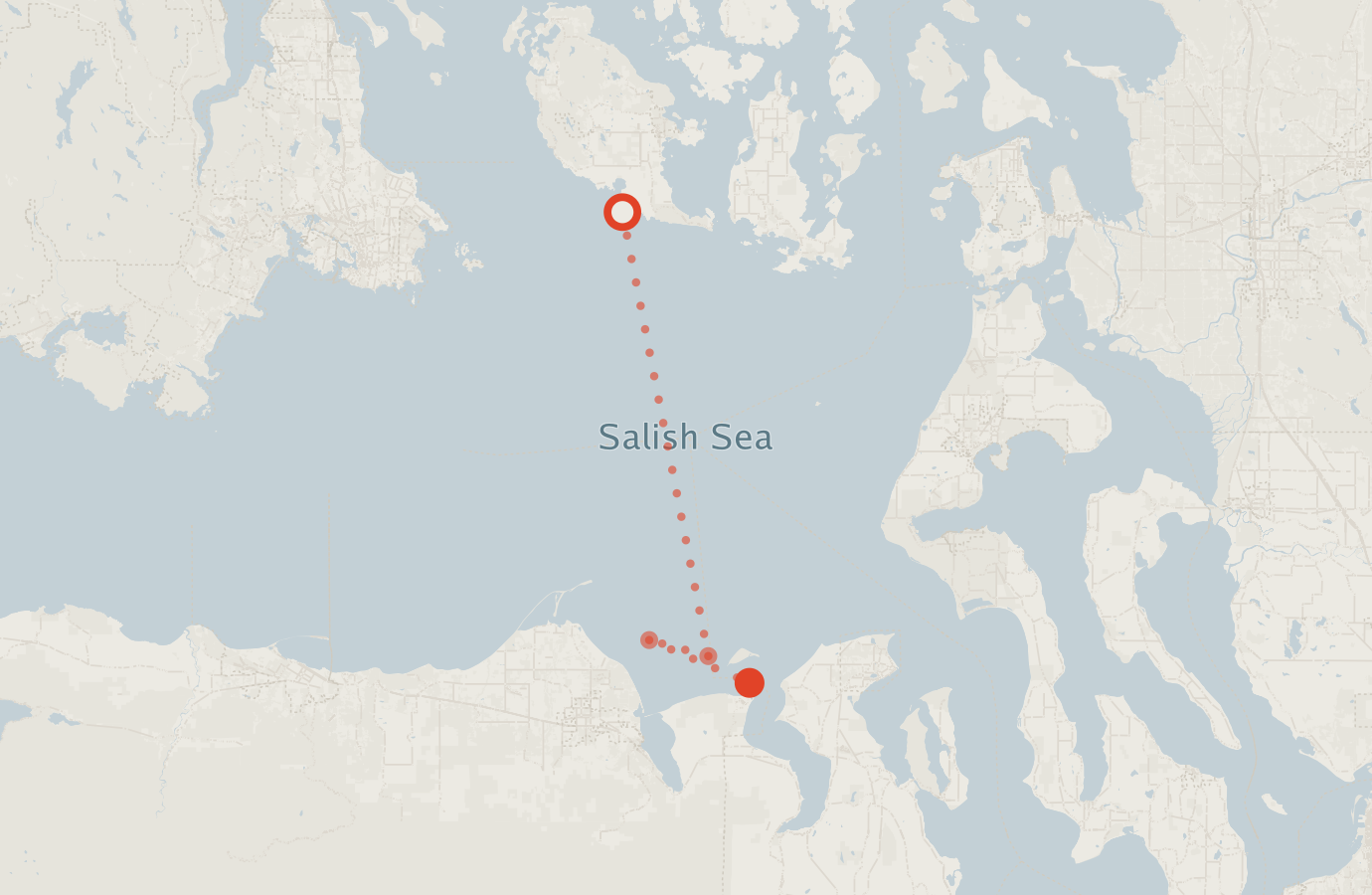 Activity map — real sighting points on an OpenStreetMap basemap