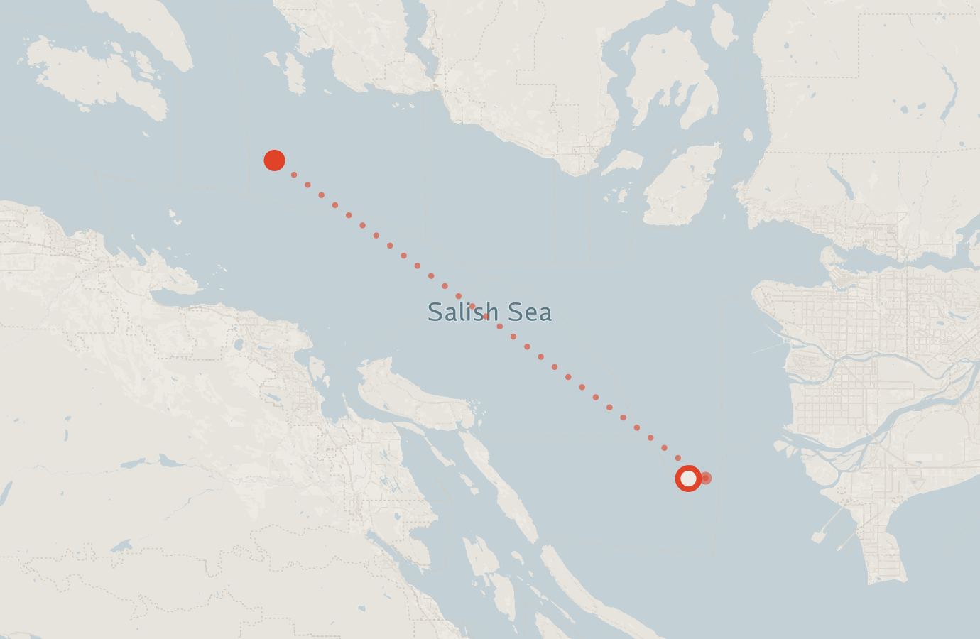 Activity map — real sighting points on an OpenStreetMap basemap