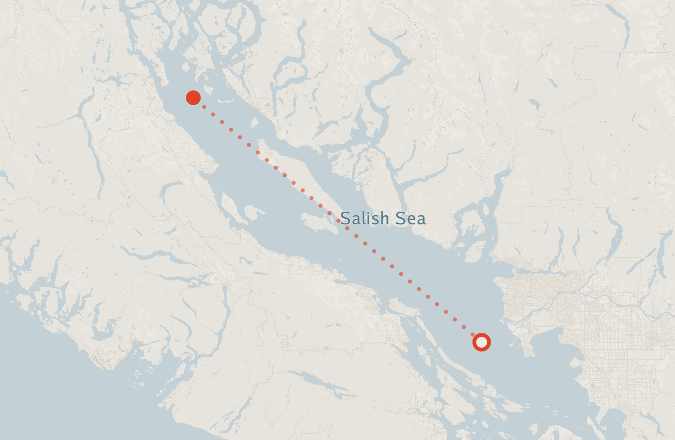 Activity map — real sighting points on an OpenStreetMap basemap