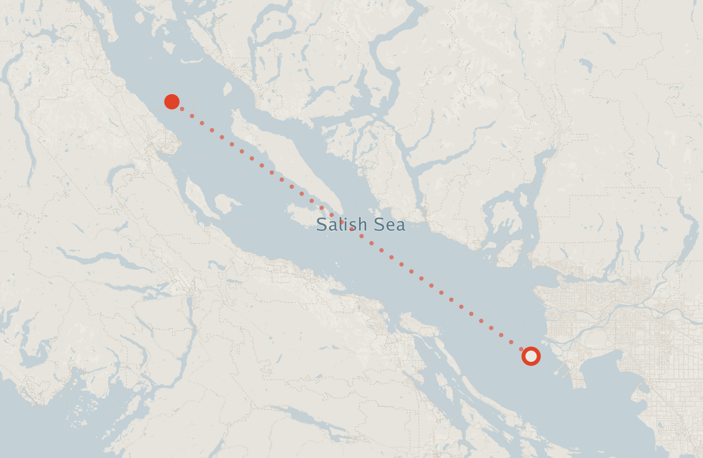 Activity map — real sighting points on an OpenStreetMap basemap