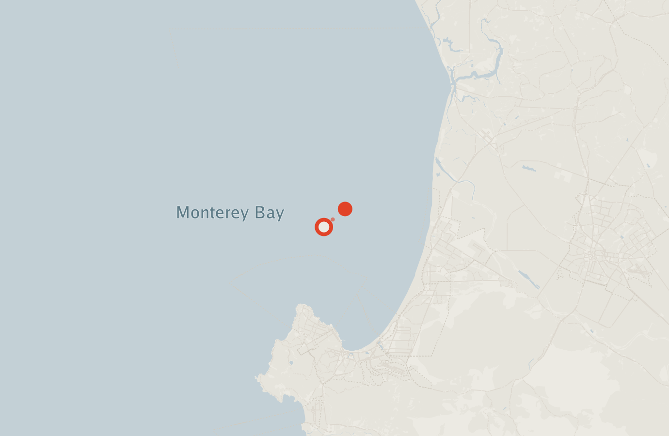 Activity map — real sighting points on an OpenStreetMap basemap