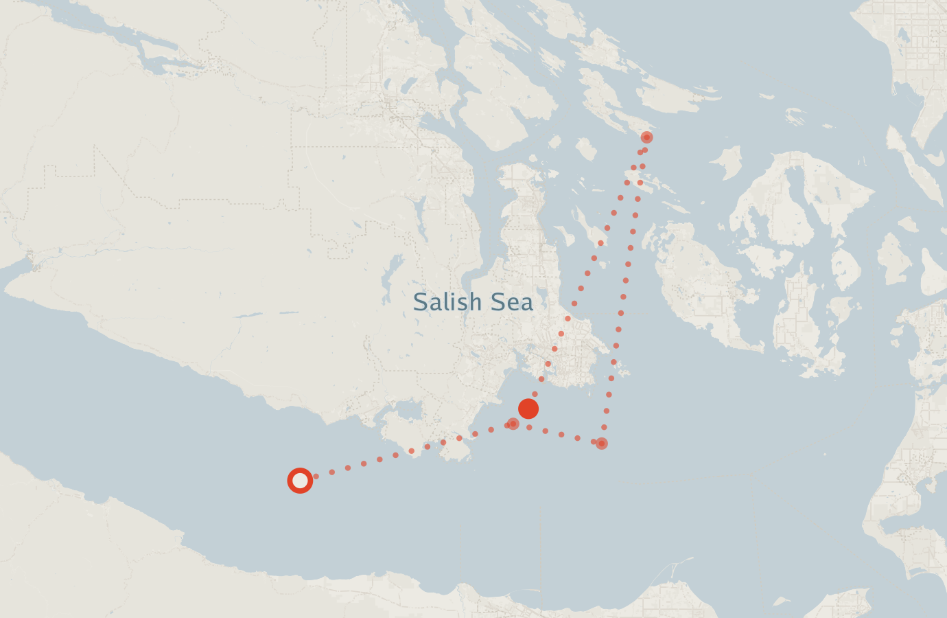 Activity map — real sighting points on an OpenStreetMap basemap