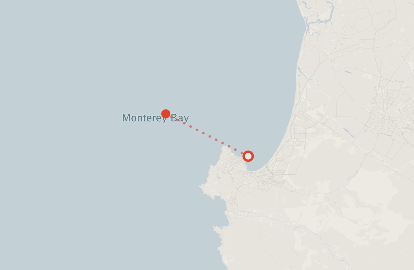 Activity map — real sighting points on an OpenStreetMap basemap