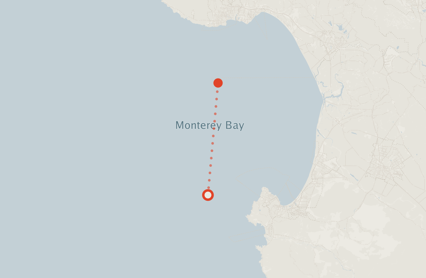 Activity map — real sighting points on an OpenStreetMap basemap