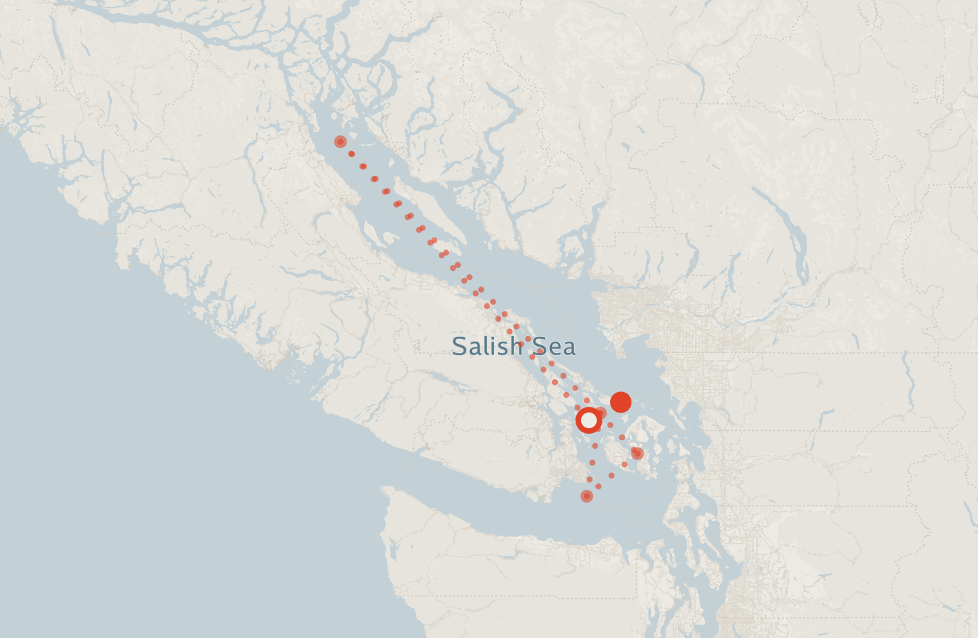 Activity map — real sighting points on an OpenStreetMap basemap