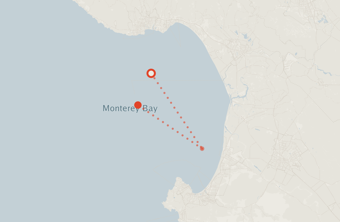 Activity map — real sighting points on an OpenStreetMap basemap