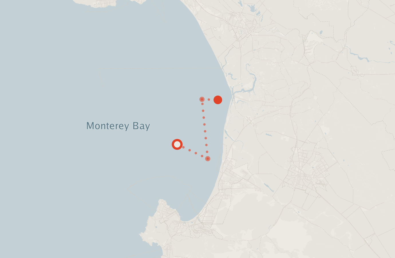 Activity map — real sighting points on an OpenStreetMap basemap