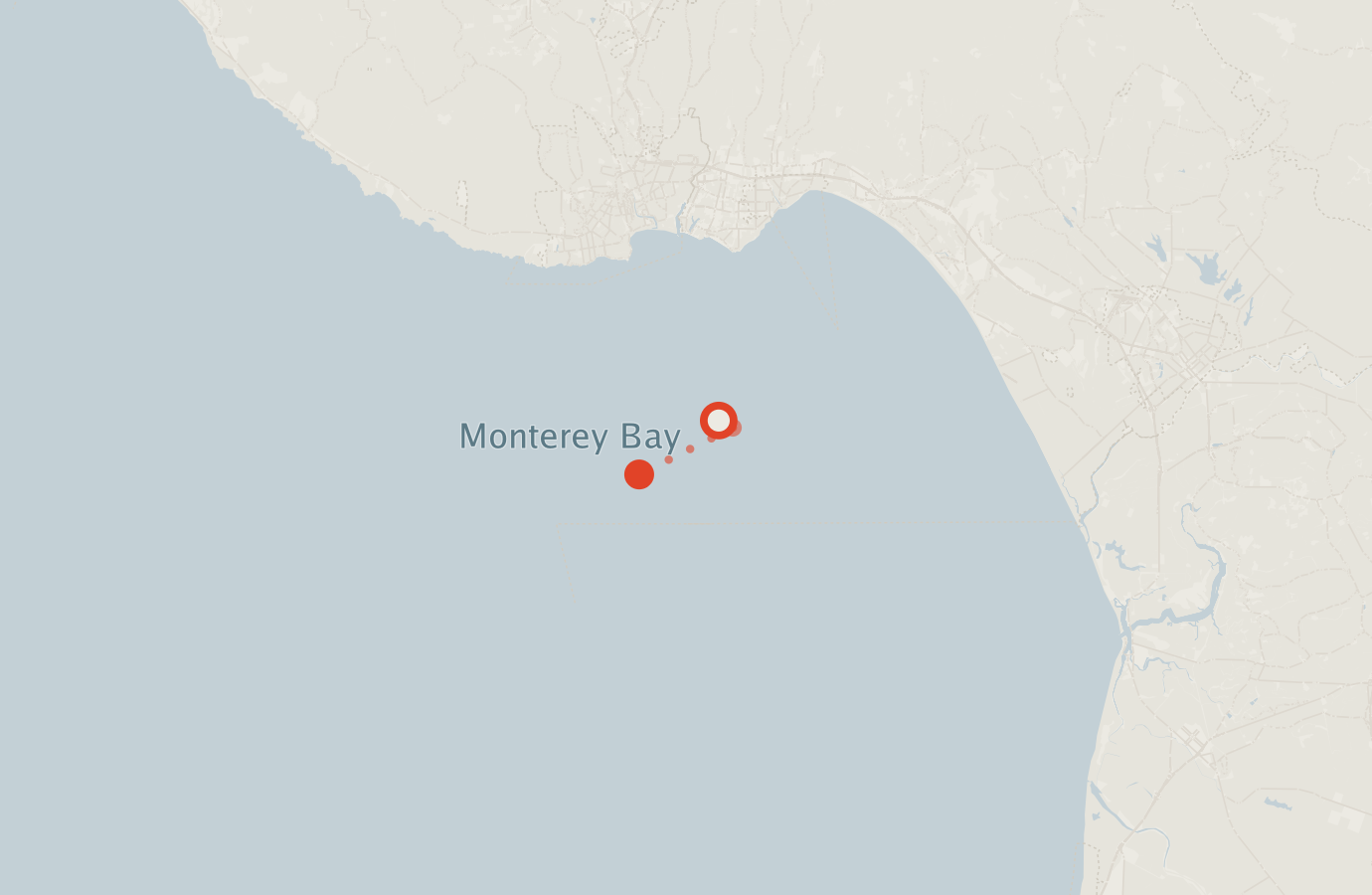 Activity map — real sighting points on an OpenStreetMap basemap