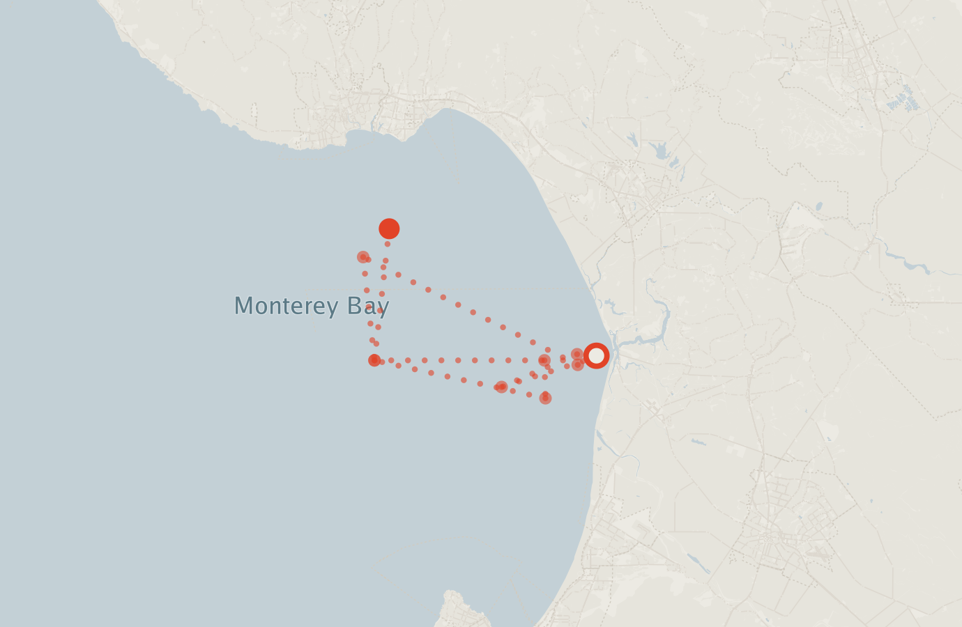 Activity map — real sighting points on an OpenStreetMap basemap