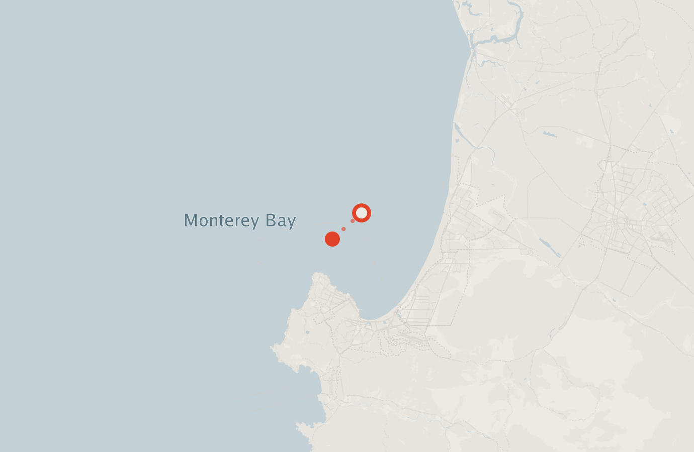Activity map — real sighting points on an OpenStreetMap basemap