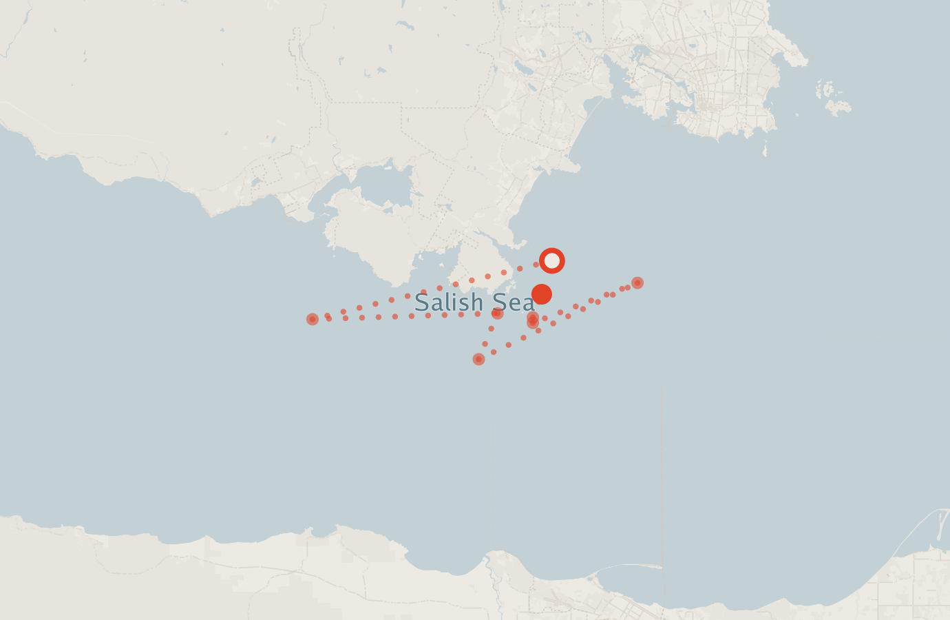 Activity map — real sighting points on an OpenStreetMap basemap