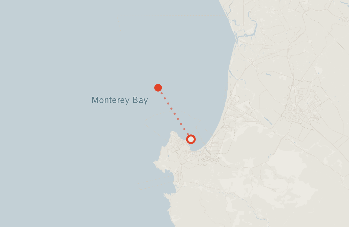 Activity map — real sighting points on an OpenStreetMap basemap