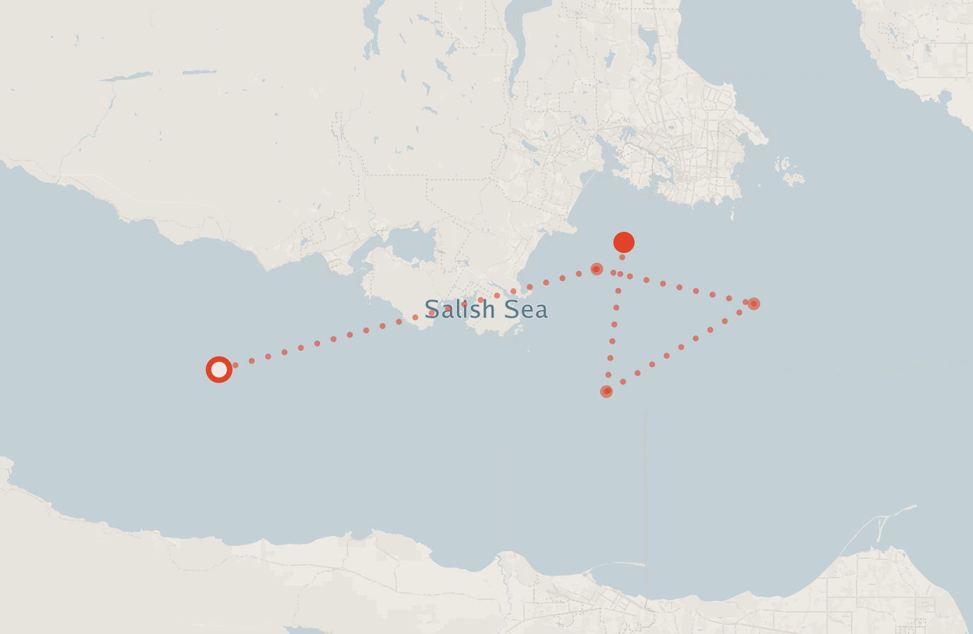 Activity map — real sighting points on an OpenStreetMap basemap