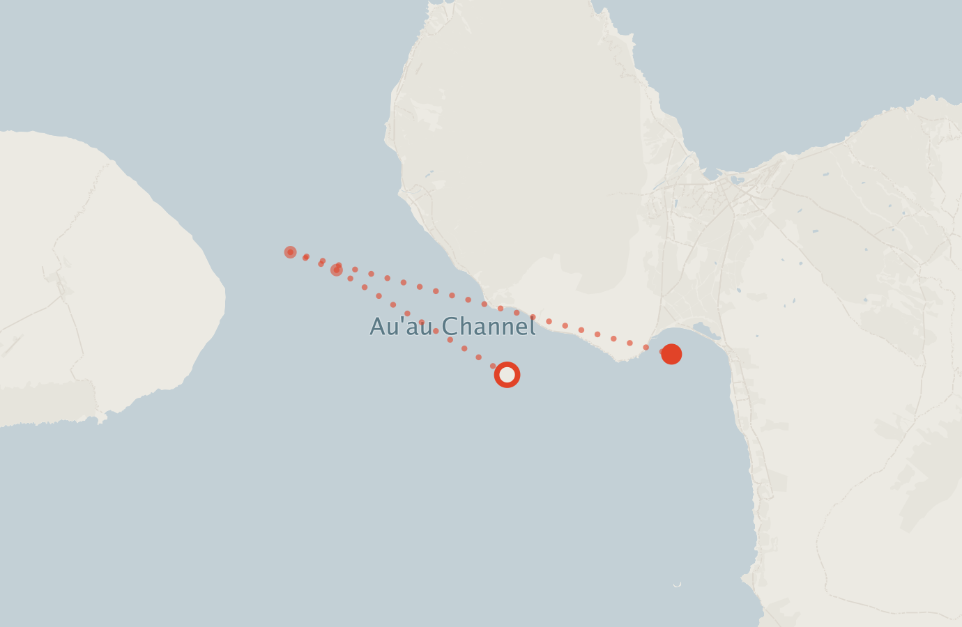 Activity map — real sighting points on an OpenStreetMap basemap