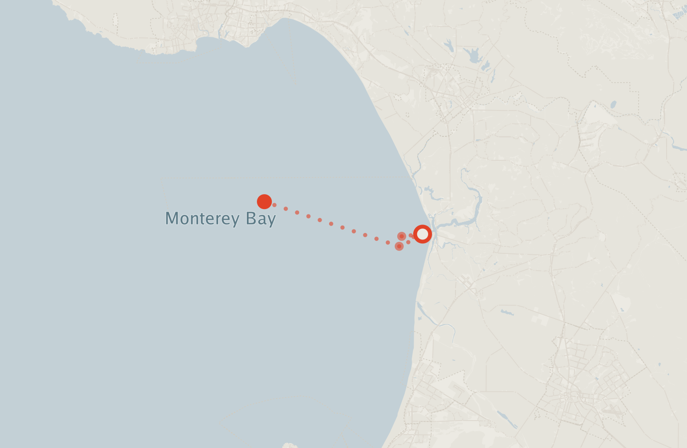 Activity map — real sighting points on an OpenStreetMap basemap