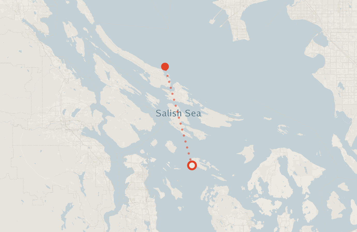 Activity map — real sighting points on an OpenStreetMap basemap