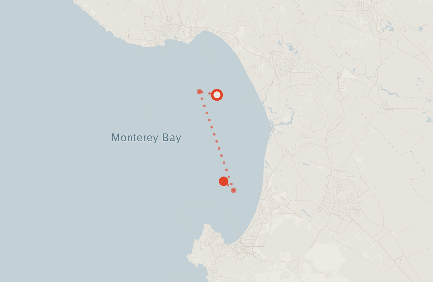 Activity map — real sighting points on an OpenStreetMap basemap
