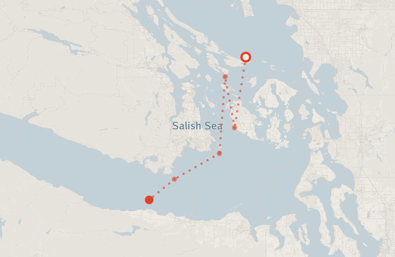 Activity map — real sighting points on an OpenStreetMap basemap
