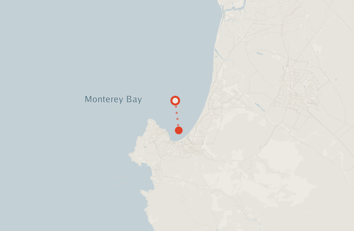 Activity map — real sighting points on an OpenStreetMap basemap