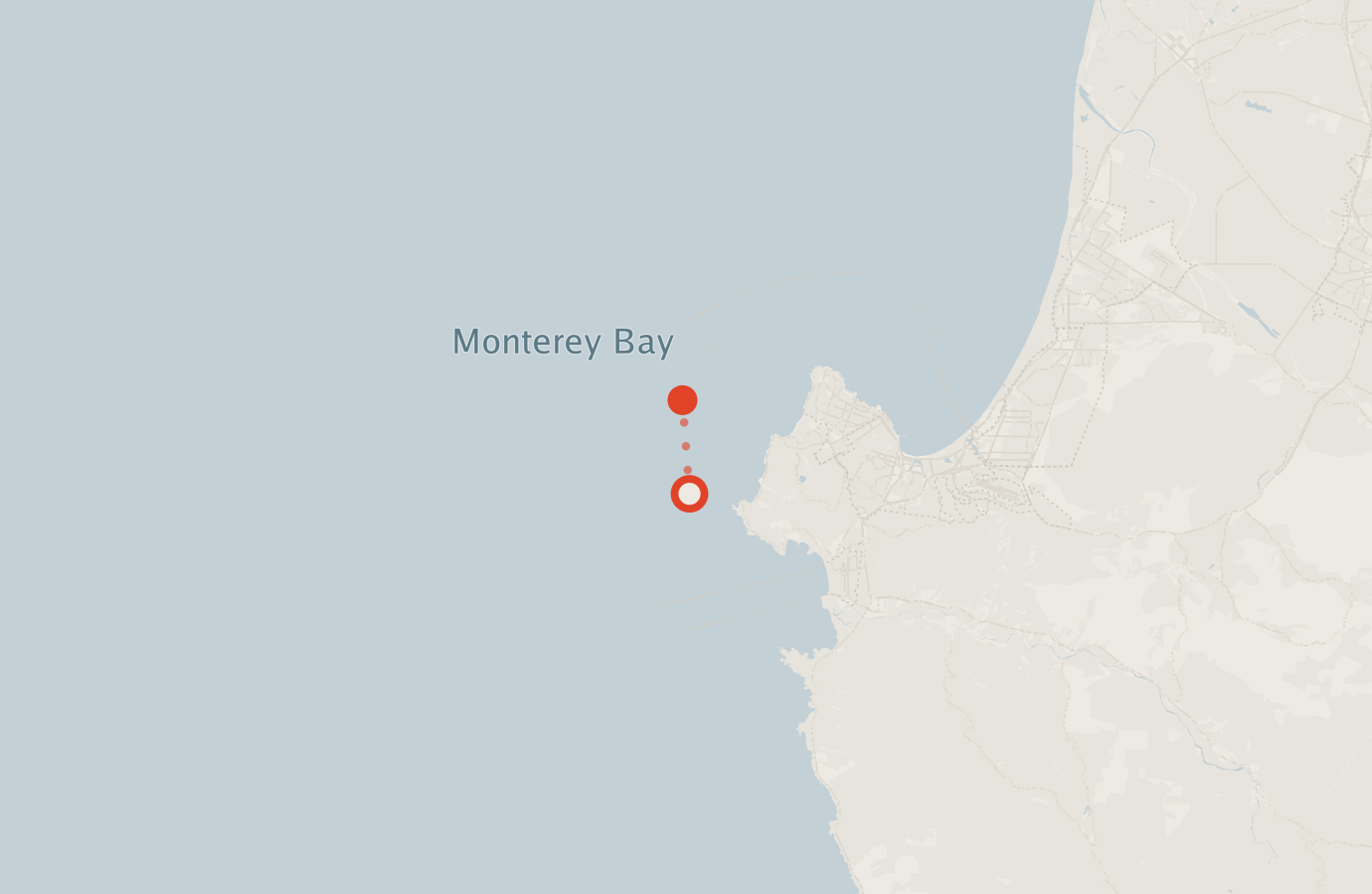 Activity map — real sighting points on an OpenStreetMap basemap
