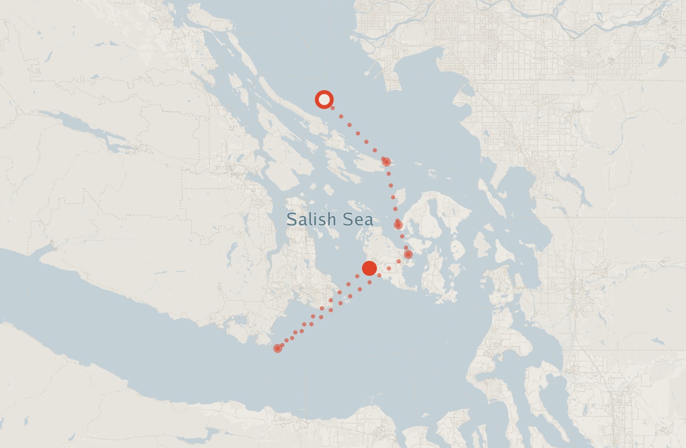 Activity map — real sighting points on an OpenStreetMap basemap