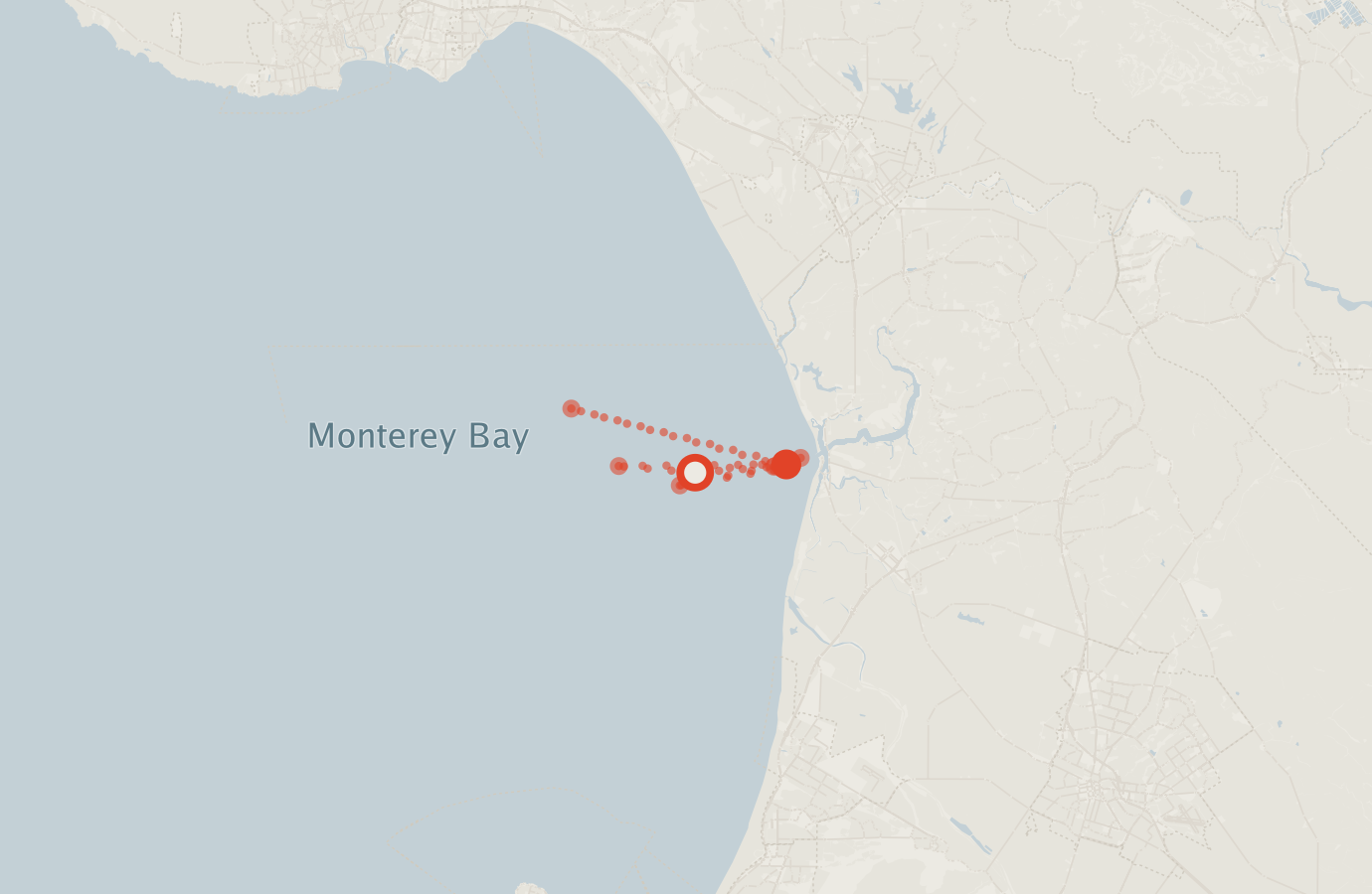 Activity map — real sighting points on an OpenStreetMap basemap