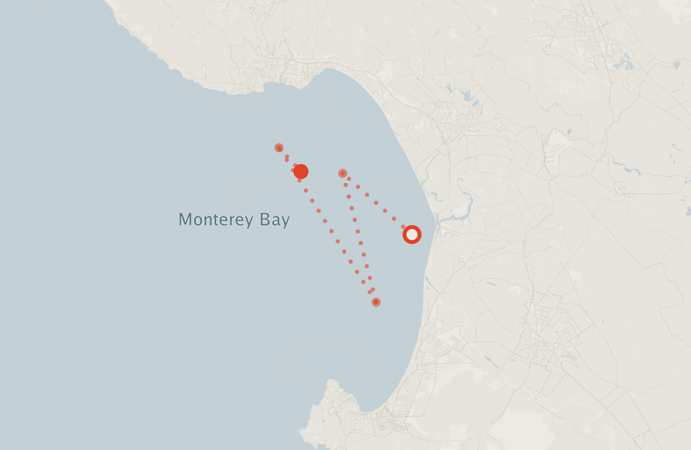 Activity map — real sighting points on an OpenStreetMap basemap
