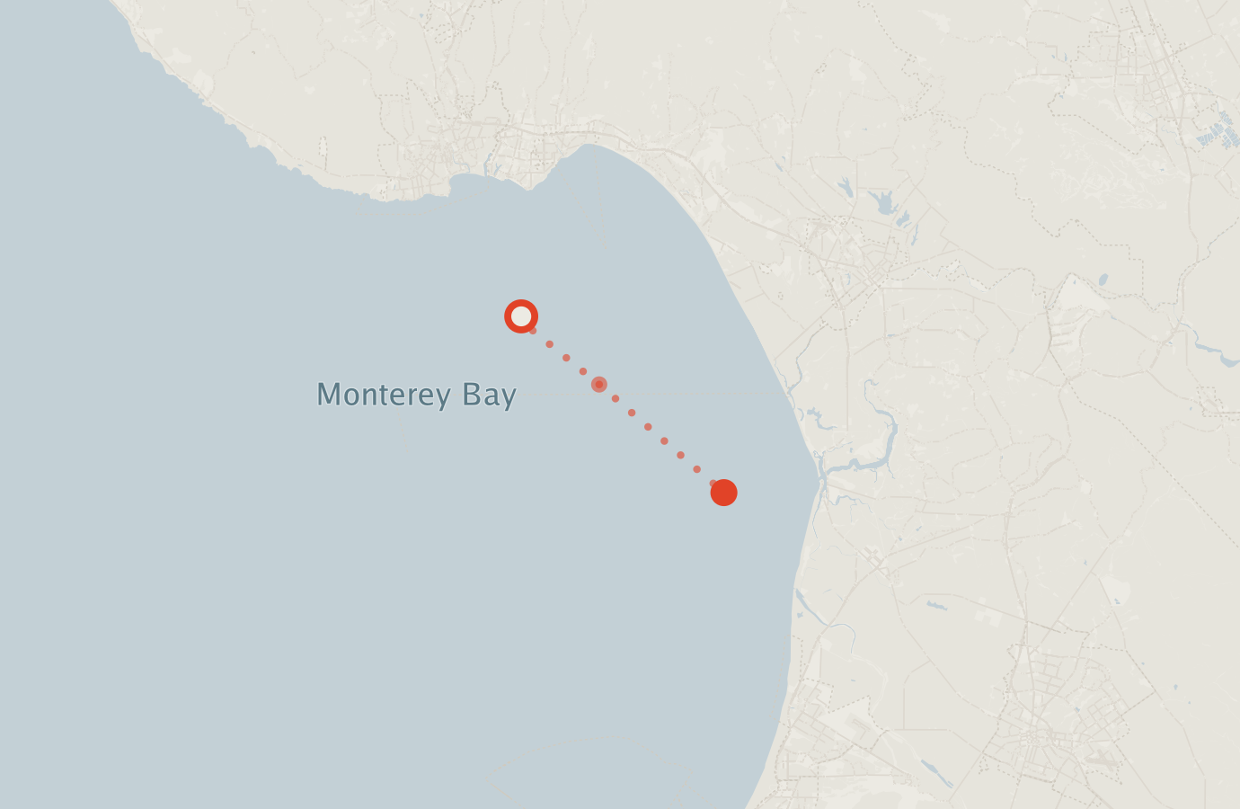 Activity map — real sighting points on an OpenStreetMap basemap