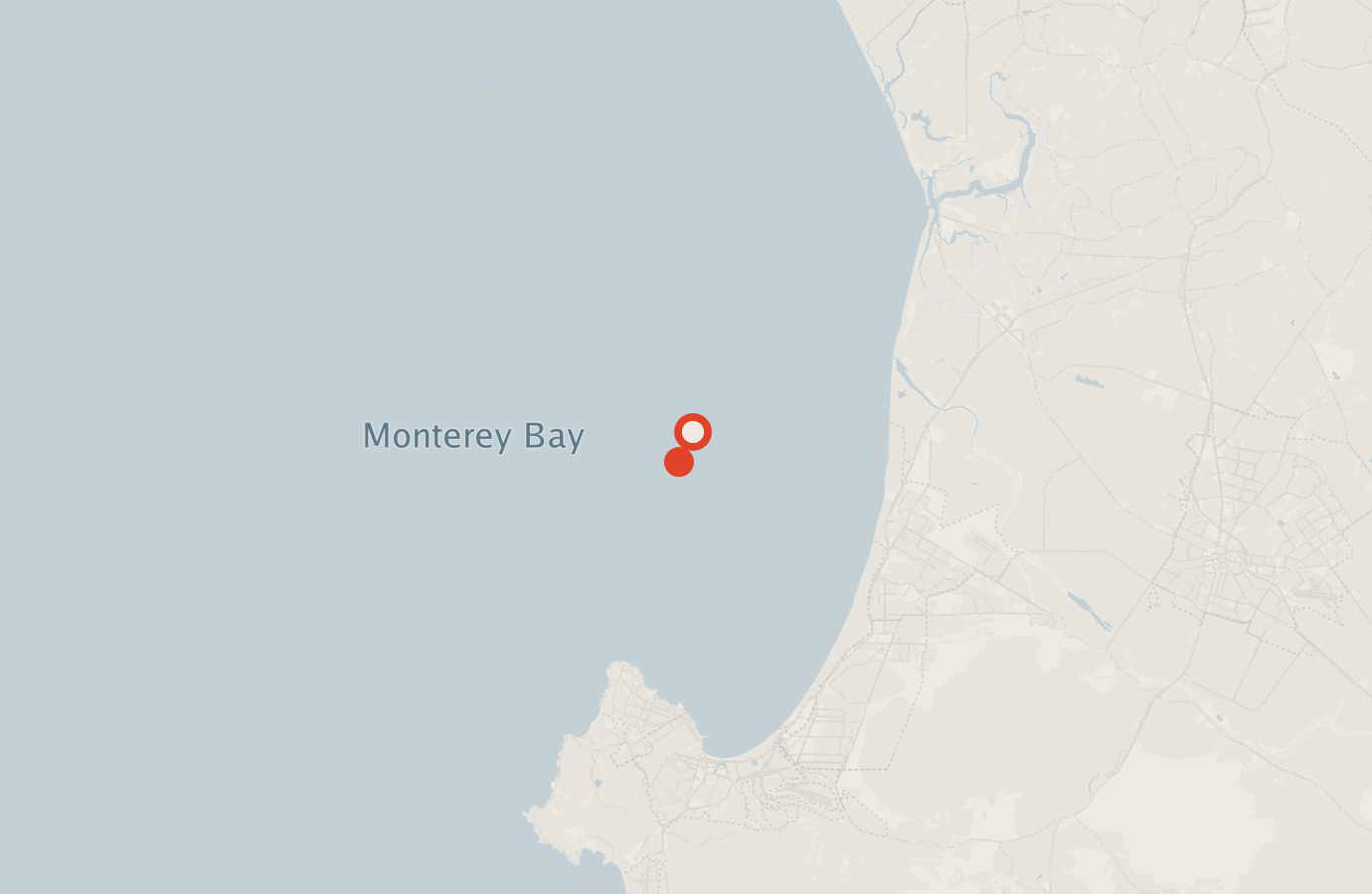 Activity map — real sighting points on an OpenStreetMap basemap